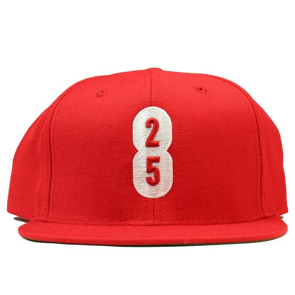 25/8 Snap Back