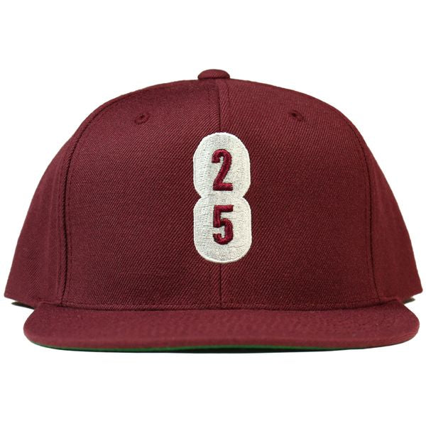 25/8 Snap Back